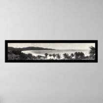 Puerto Rico Flamingo Photo 1914 Posters