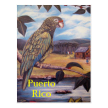Puerto Rico Postcard