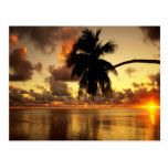 Puerto Vallarta Post Card