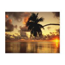 Puerto Vallarta Post Card