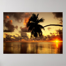 Puerto Vallarta Posters
