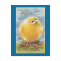 Puffball Chick Vintage Easter Postcard