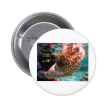 Pufferfish Pinback Button