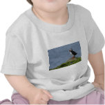 Puffin  A Shirts