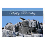 Puffin Birthday Card, wildelife Greeting Card