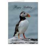 Puffin Birthday greeting Card