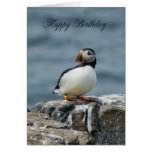 Puffin Birthday Greeting Card