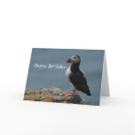 Puffin Birthday Greetings cards