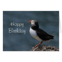 Puffin Birthday Greetings Cards