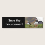 Puffin bumper stickers