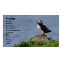 Puffin Card Business Card Template
