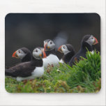 Puffin Gang mousepads