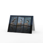 Puffin Greeting Cards