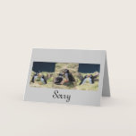 Puffin Greeting Cards