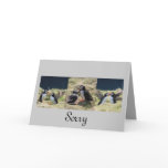 Puffin Greeting Cards