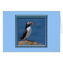Puffin Greeting Cards