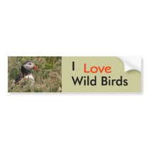Puffin in Grass Bumper Stickers