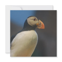 Puffin Invitations