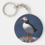 Puffin Keychains