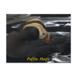 Puffin Magic postcards