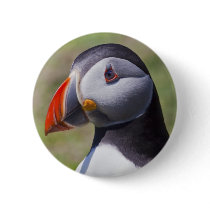 Puffin Portrait Badge Pinback Buttons