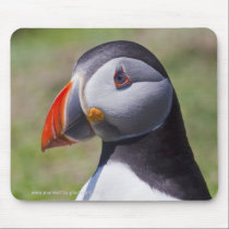 Puffin Portrait Mousemat mousepads