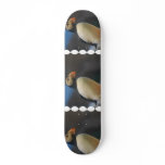 Puffin Skateboard