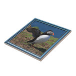 Puffin Tile