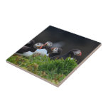 Puffin Tile