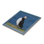 Puffin Tile