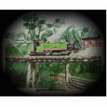 Puffing Billy photo sculptures