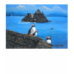 Puffins at Skellig Michael Ireland t-shirts