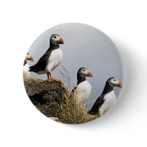 Puffins Button