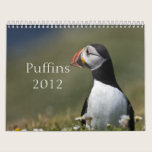 Puffins for 2012 Calendar