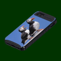 Puffins iPhone 5 Case