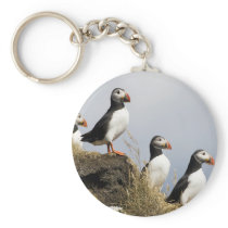 Puffins Keychains