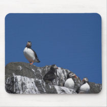 Puffins Mouse Mat