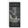 Puffins Rack Card