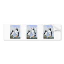 Puffins Stickers Bumper Sticker