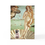 Pug 1 - Birth of Venus cards