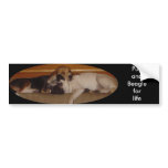 Pug and beagle for life bumper sticker 2