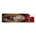 Pug and beagle for life bumper sticker 3