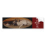 Pug and beagle for life bumper sticker 3