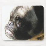 Pug Angel Face Mouse Mats