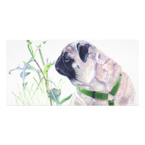 Pug Art Card
