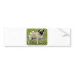 Pug bumper stickers