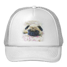 Pug cap mesh hats