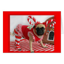 Pug Christmas Card