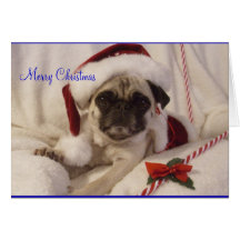 Pug Christmas Card