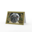 Pug Christmas card - look into her eyes...